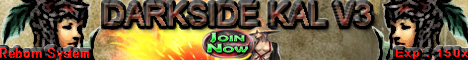 DSK Online 2010  Banner